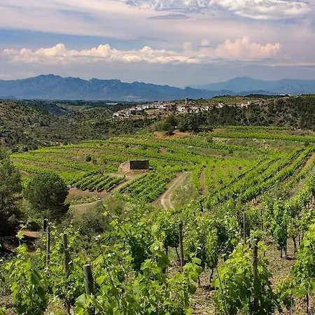 Clos Figueras Отель типа 