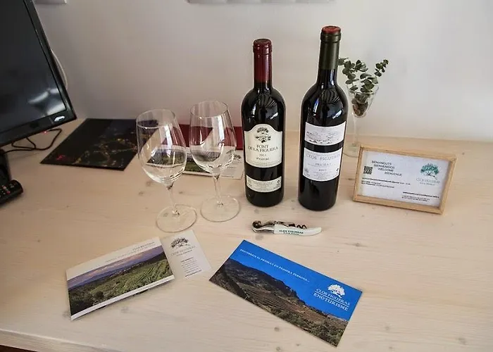 Clos Figueras