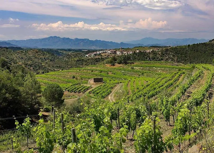 Clos Figueras Отель типа 